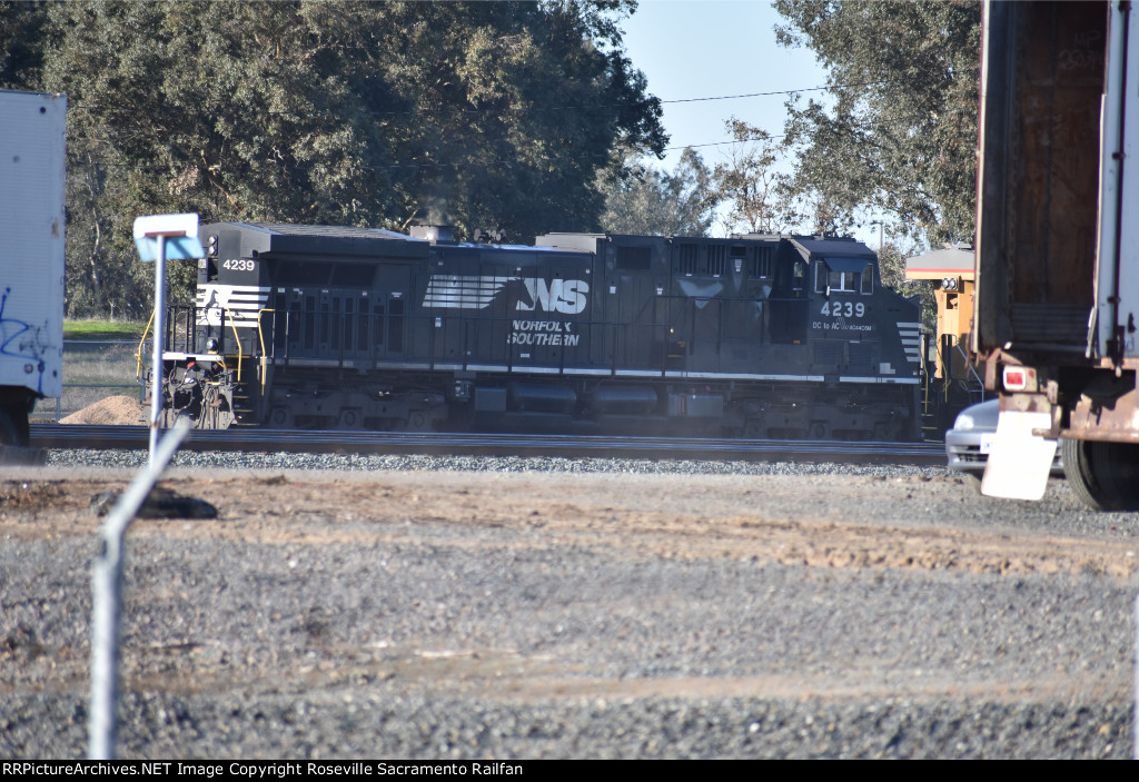 NS 4239